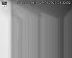 Capi_Dubne_20260929_033232.jpg