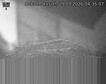 Capi_Dubne_20260929_043607.jpg