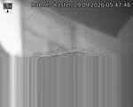 Capi_Dubne_20260929_054746.jpg