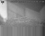Capi_Dubne_20260930_003704.jpg