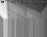 Capi_Dubne_20260930_060653.jpg