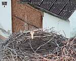 Capi_Dubne_20260930_070503.jpg