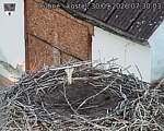 Capi_Dubne_20260930_073003.jpg