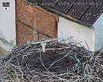 Capi_Dubne_20260930_074003.jpg