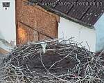 Capi_Dubne_20260930_080003.jpg