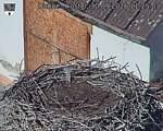 Capi_Dubne_20260930_112503.jpg