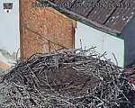 Capi_Dubne_20260930_114503.jpg