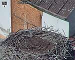 Capi_Dubne_20260930_115003.jpg