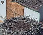 Capi_Dubne_20260930_120503.jpg
