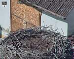 Capi_Dubne_20260930_140004.jpg