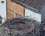 Capi_Dubne_20260930_143003.jpg