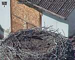 Capi_Dubne_20260930_143503.jpg