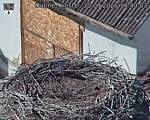 Capi_Dubne_20260930_144003.jpg