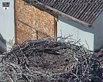 Capi_Dubne_20260930_145002.jpg