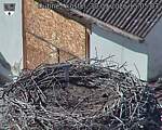 Capi_Dubne_20260930_150503.jpg