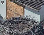 Capi_Dubne_20260930_151503.jpg