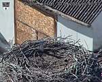 Capi_Dubne_20260930_154003.jpg