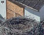 Capi_Dubne_20260930_155003.jpg