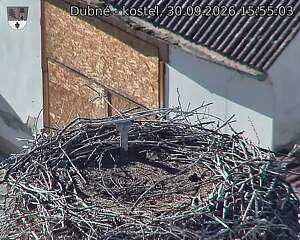 preload