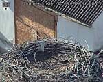 Capi_Dubne_20260930_164003.jpg