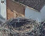Capi_Dubne_20260930_164503.jpg