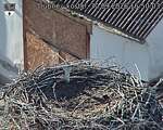 Capi_Dubne_20260930_165003.jpg