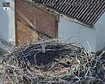 Capi_Dubne_20260930_165503.jpg
