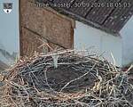 Capi_Dubne_20260930_180503.jpg
