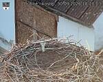 Capi_Dubne_20260930_182003.jpg
