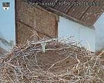 Capi_Dubne_20260930_182503.jpg
