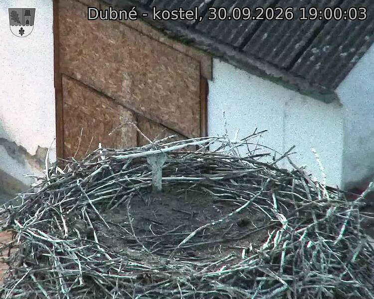 Capi_Dubne_20260930_190003.jpg (1350&nbsp;x&nbsp;1080)