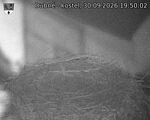 Capi_Dubne_20260930_195002.jpg