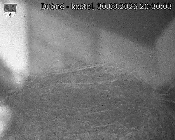 preload