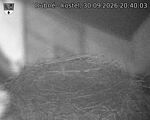Následující