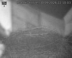Capi_Dubne_20260930_221003.jpg