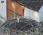 Capi_Dubne_20261001_074503.jpg