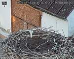 Capi_Dubne_20261001_080003.jpg