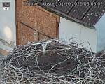 Capi_Dubne_20261001_080502.jpg