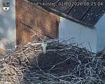Capi_Dubne_20261001_082504.jpg
