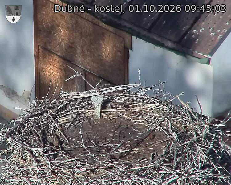 Capi_Dubne_20261001_094503.jpg (1350&nbsp;x&nbsp;1080)