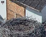 Capi_Dubne_20261001_152503.jpg
