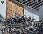Capi_Dubne_20261001_154503.jpg