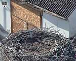Capi_Dubne_20261001_161004.jpg