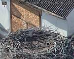 Capi_Dubne_20261001_161503.jpg