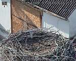 Capi_Dubne_20261001_162503.jpg