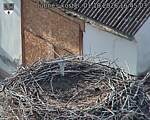 Capi_Dubne_20261001_164503.jpg