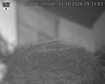 Capi_Dubne_20261001_191503.jpg
