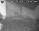 Capi_Dubne_20261001_192003.jpg