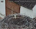 Capi_Dubne_20261002_073503.jpg