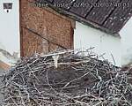 Capi_Dubne_20261002_074003.jpg